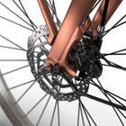 E-U4 Next L57 Metallic Peach Matt DB7 AL MM – detailfoto 5